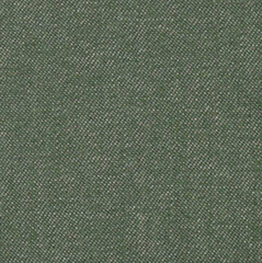 Albiate Old School Pure Cotton Denim Mid Green Twill
