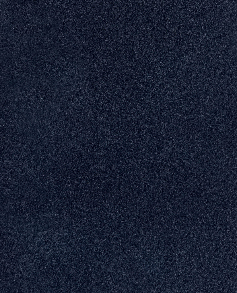 Dark Blue Fine Calf Cap Toe Blake Double Monk