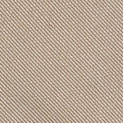 Beige Silk