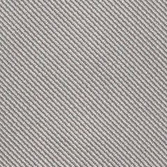 Light Grey Silk