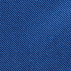 Raf Blue Silk