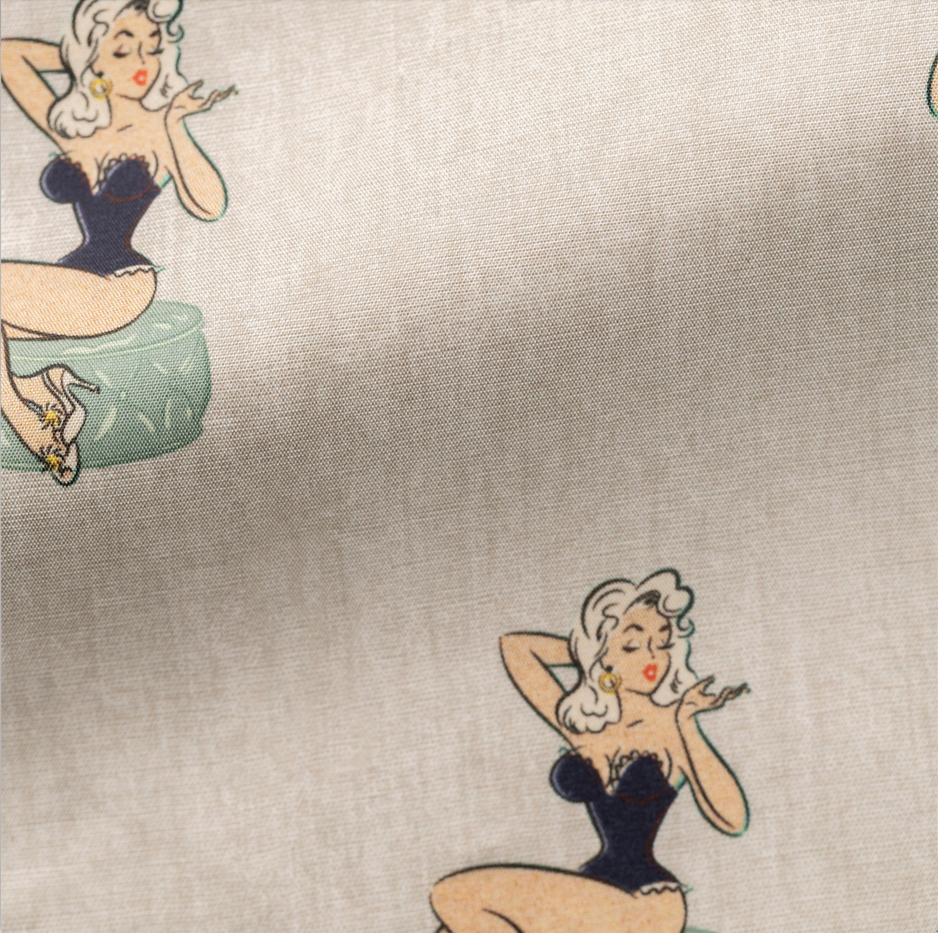 Fancy 496 Light Taupe with Posing Pin-up