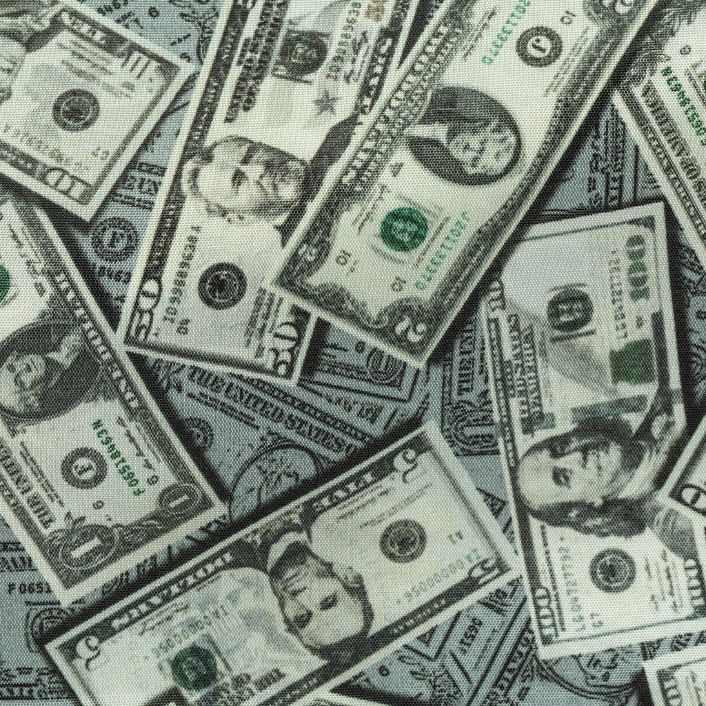 Fancy 480 American Dollar Bills