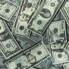 Fancy 480 American Dollar Bills