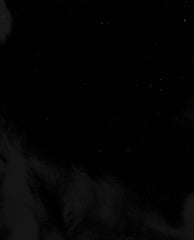 Black Patent Calf Blake Tuxedo Tassel Loafers