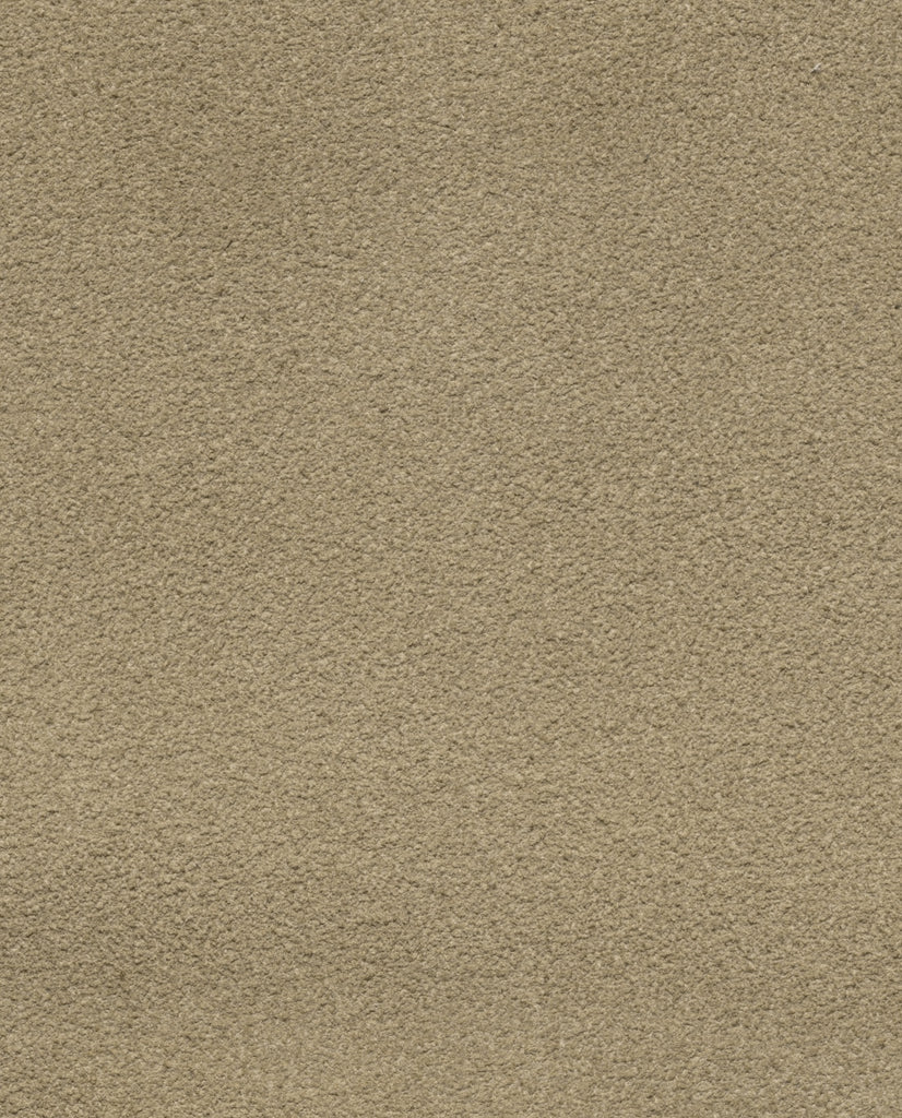 Sande Suede Plain Tip Blake Natural Bluchers