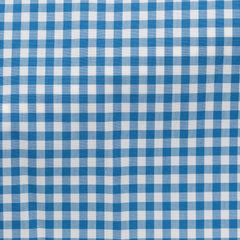 Thomas Mason Lightweight Egyptian Cotton Poplin White with Azure Blue Gingham Check