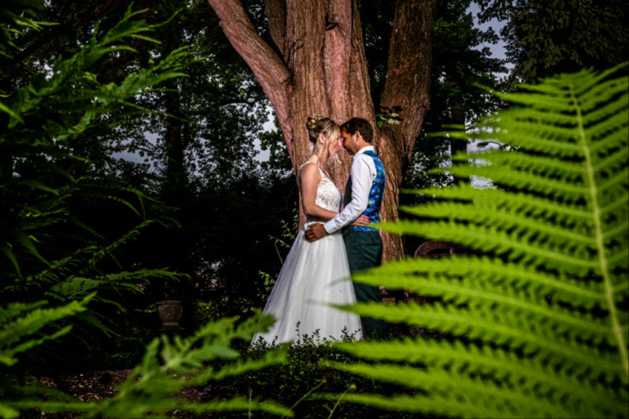 Couple embracing under a tree with ferns in the foreground
