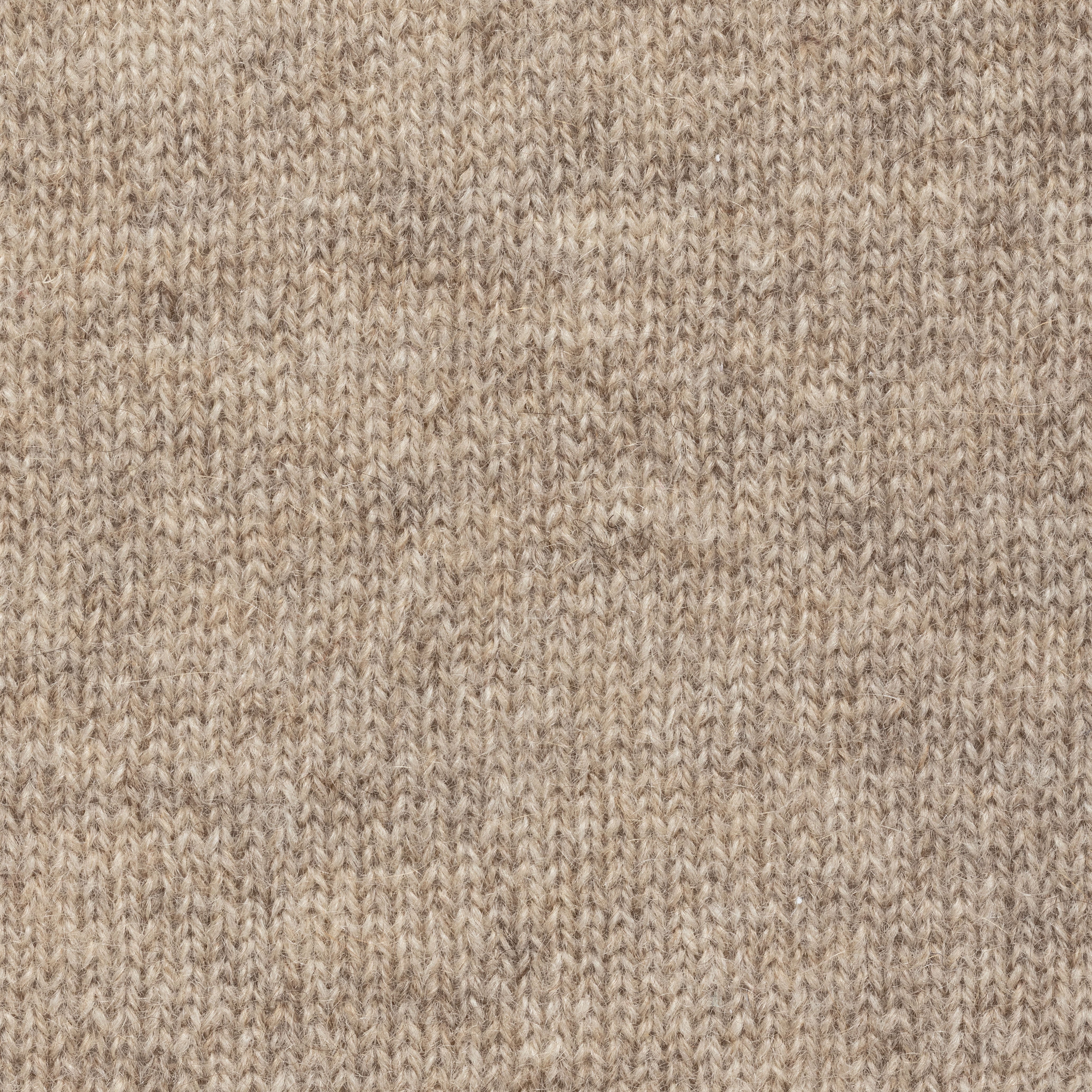 Desert Beige Cashmere