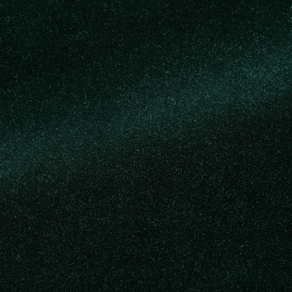 Ariston Forest Green Cotton Velvet Inspiration