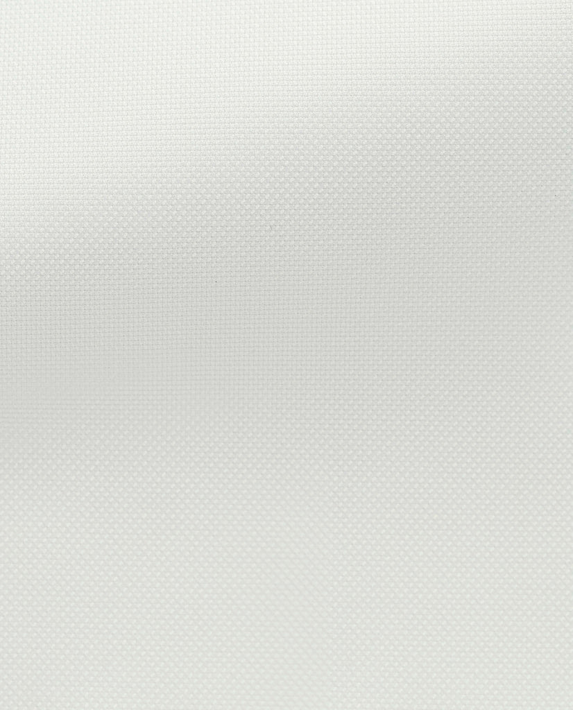 Thomas Mason Royal Oxford Off White Two Ply Cotton