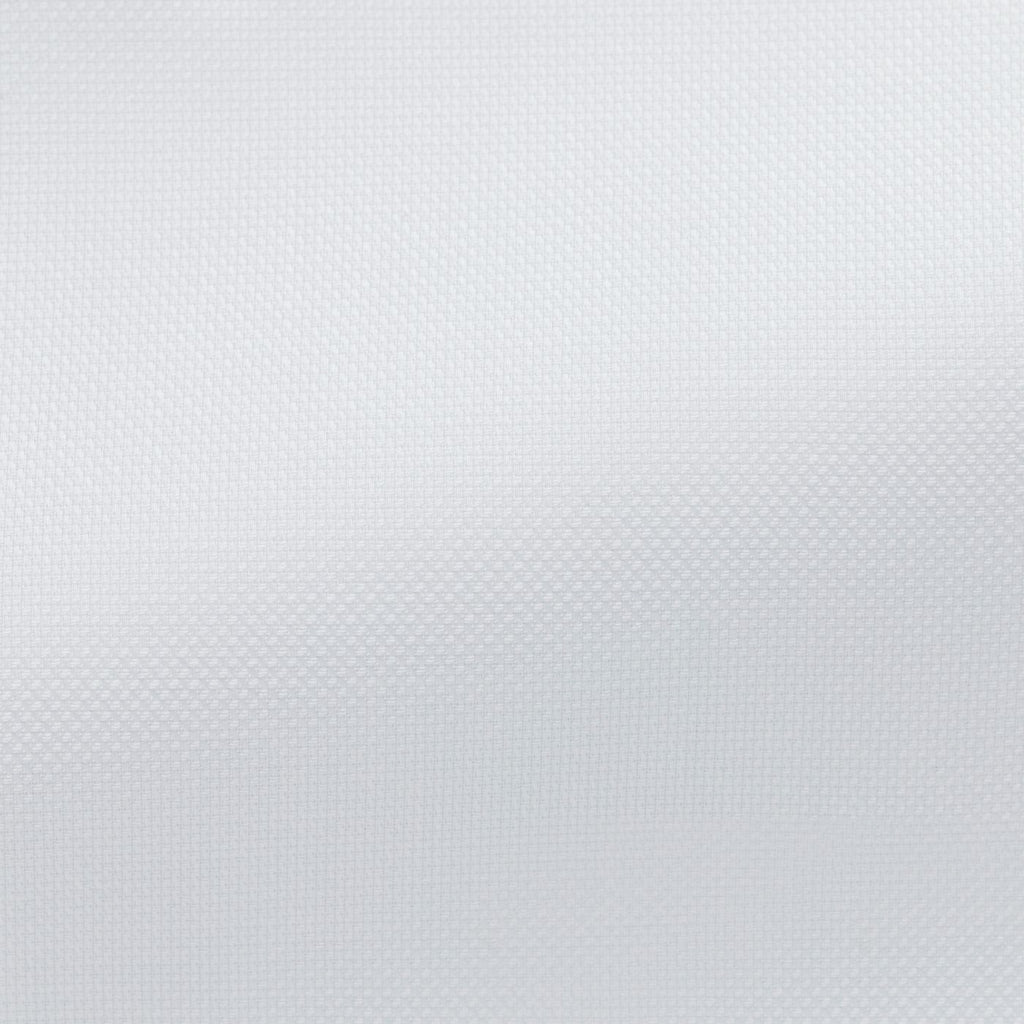 white-cotton-royal-OxfordPL PC05170gr Fabric