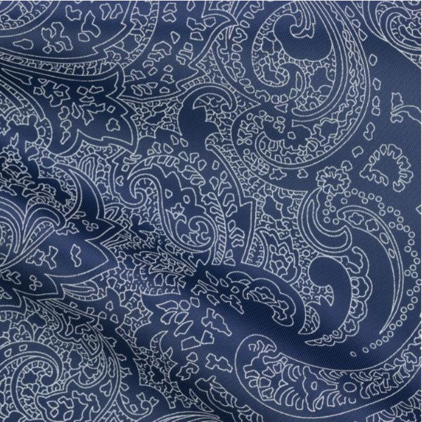 Fancy 432 - Paisley White on Blue