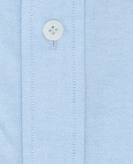 Albini Powder Blue Stretch Cotton Oxford Stretch Shirt / Long Sleeve Polo